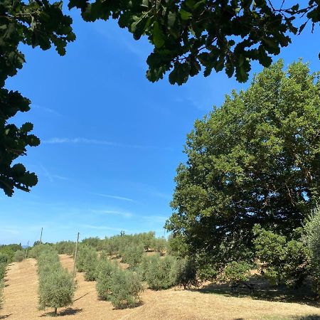 Osteria Delle Noci La Casina Della Quercia, Your Tuscan Oak Tree House מראה חיצוני תמונה