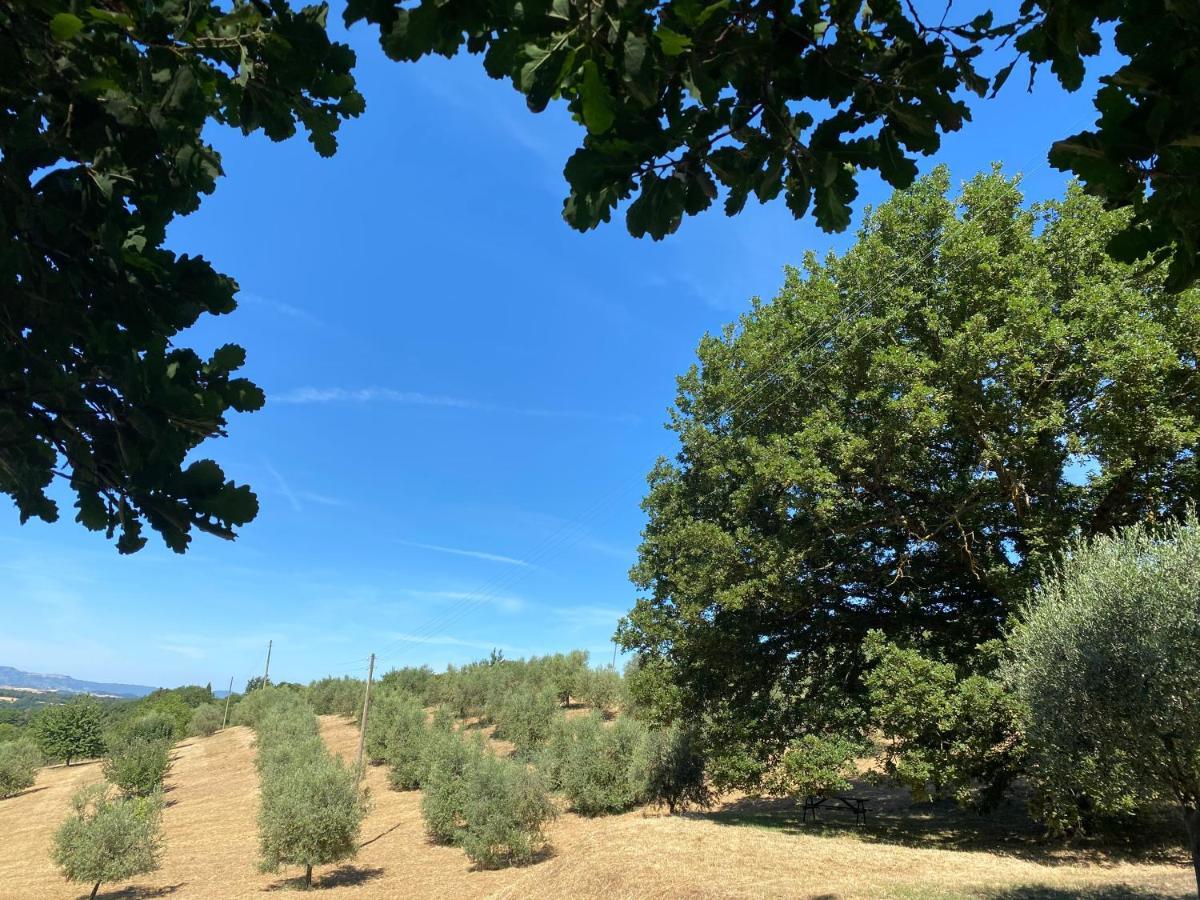 Osteria Delle Noci La Casina Della Quercia, Your Tuscan Oak Tree House מראה חיצוני תמונה